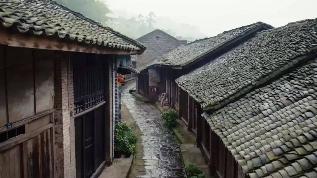 探索蛏子怎么做好吃又简单的做法,解答你的疑惑